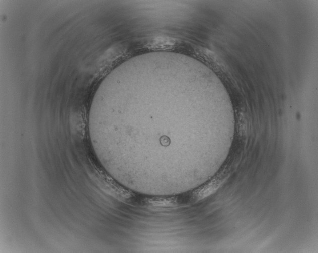 X0000066530370200604071623