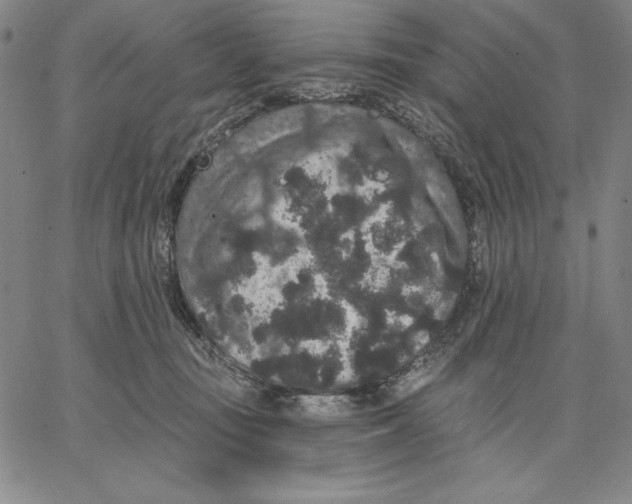 X0000066530371200604071623