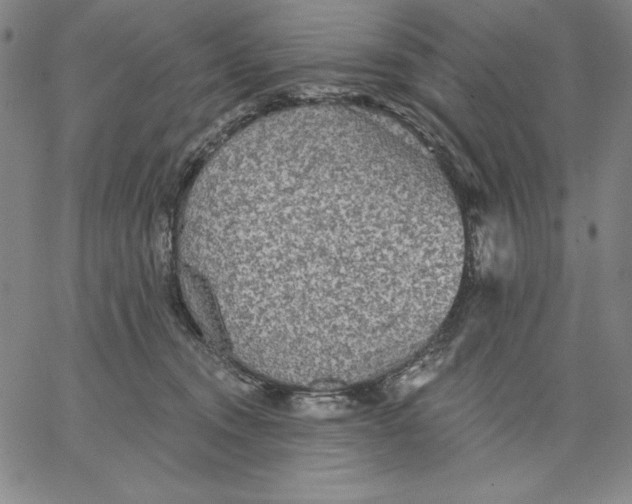 X0000066530372200604071623