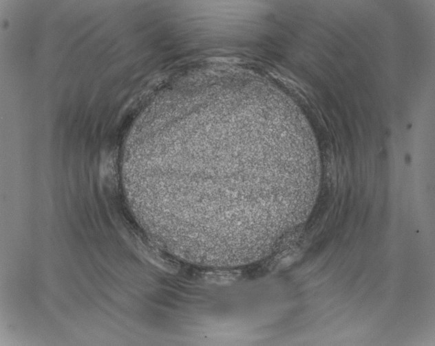 X0000066530373200604071623