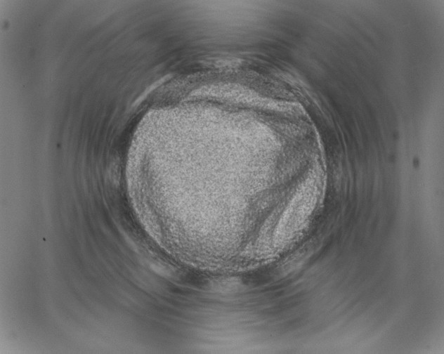 X0000066530374200604071623