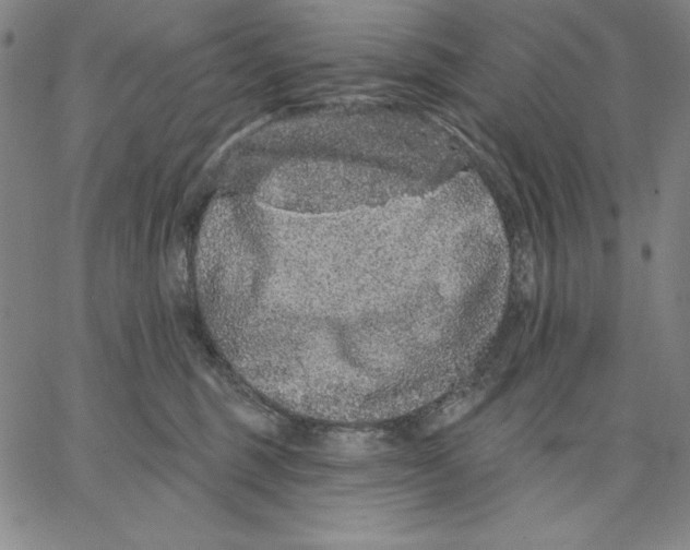 X0000066530375200604071623