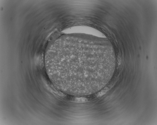 X0000066530376200604071623