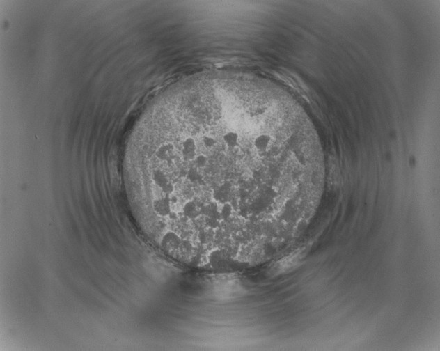 X0000066530377200604071623