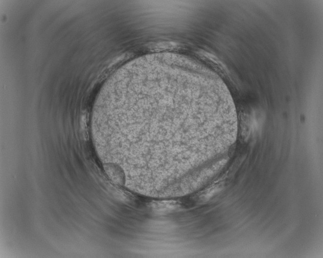 X0000066530378200604071623