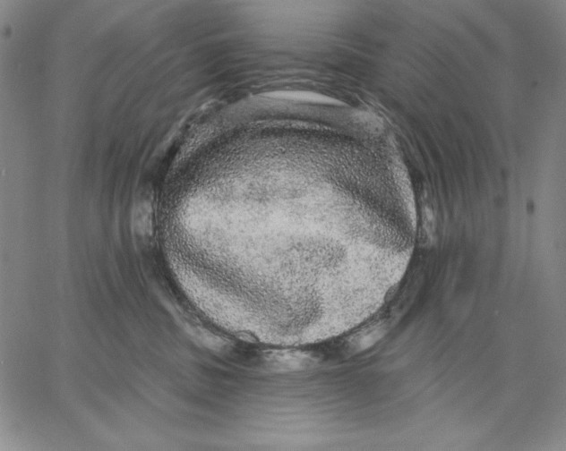 X0000066530379200604071623