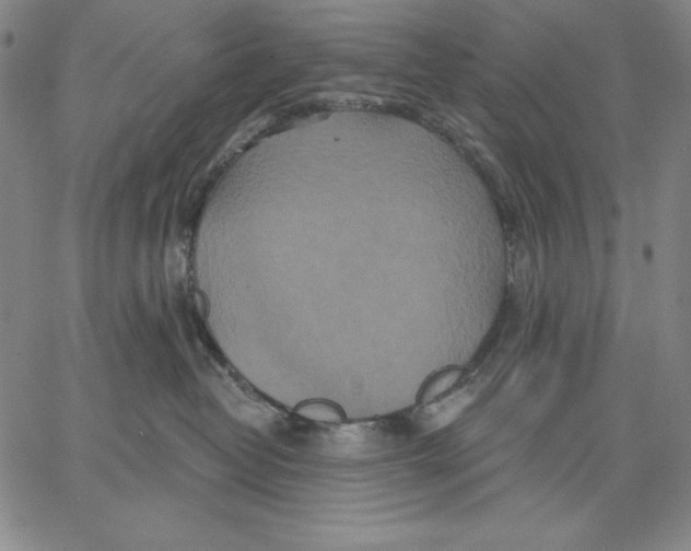 X0000066530382200604071623