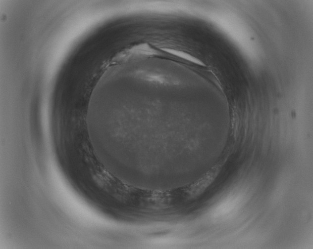 X0000066530383200604071623