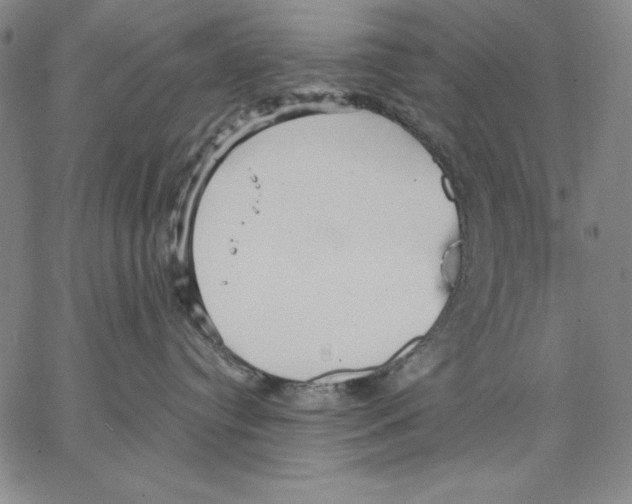 X0000066530384200604071623