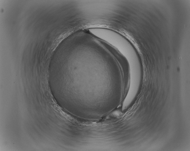 X0000066530385200604071622