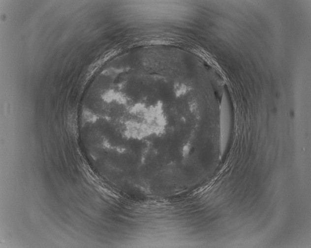 X0000066530386200604071622