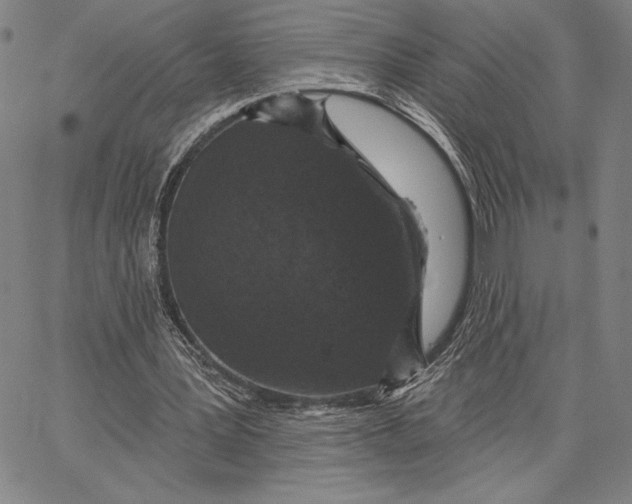 X0000066530387200604071622