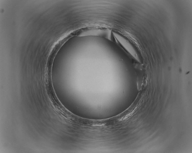 X0000066530388200604071622