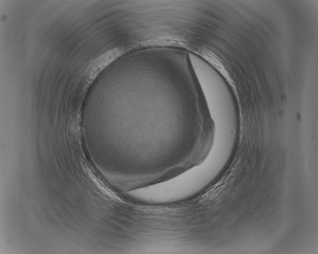 X0000066530389200604071622