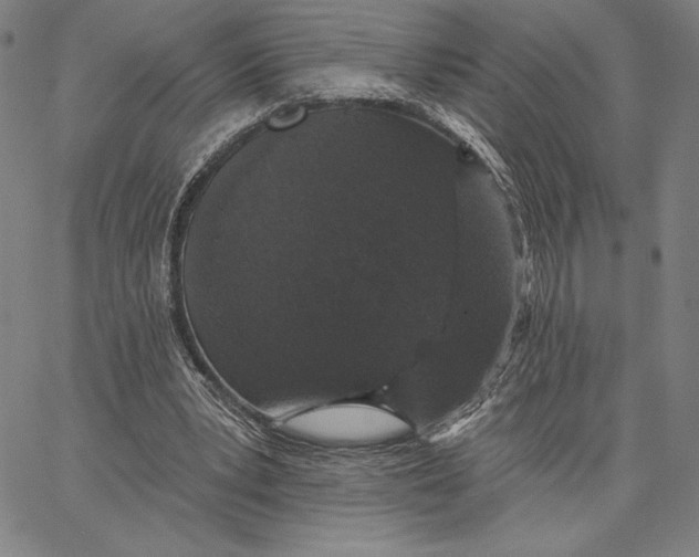 X0000066530391200604071622