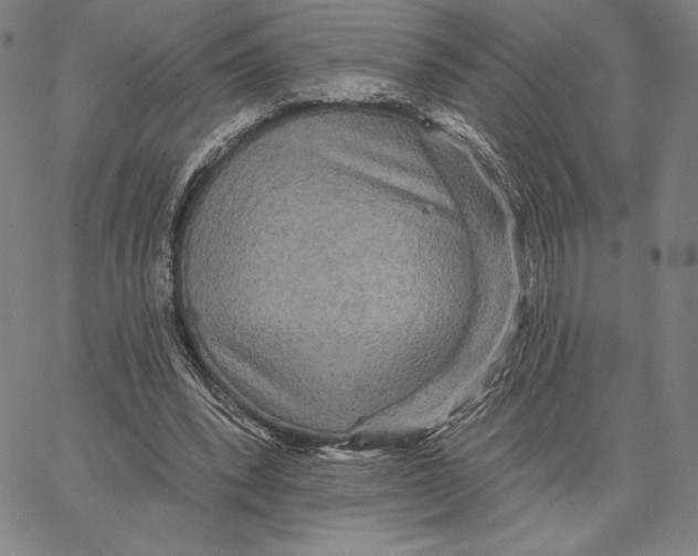 X0000066530392200604071622