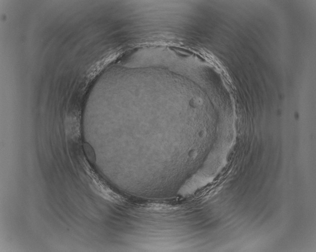 X0000066530393200604071622