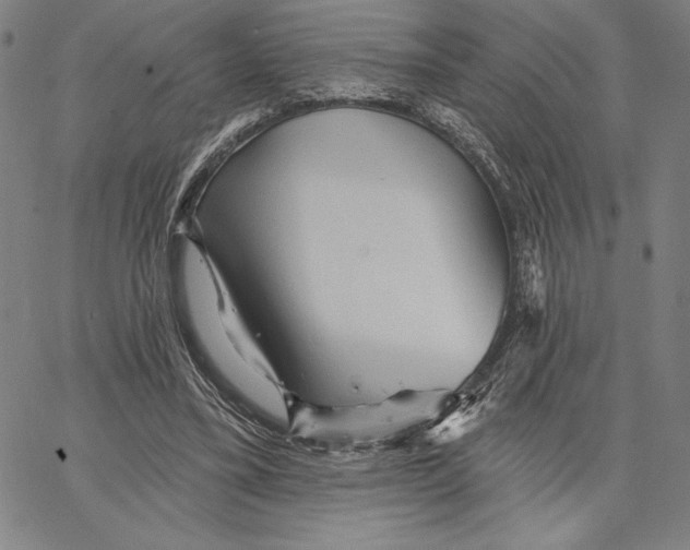 X0000066530395200604071622