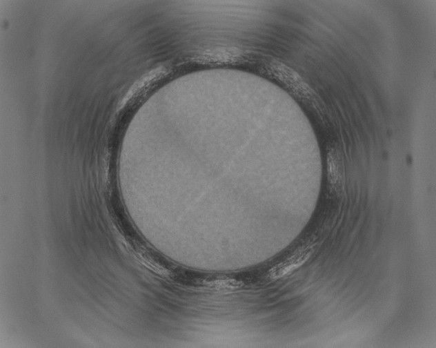 X0000066530396200604071622