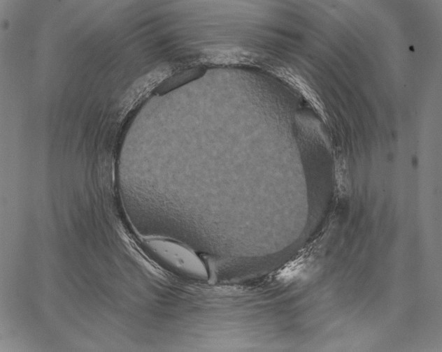 X0000066530397200604071622