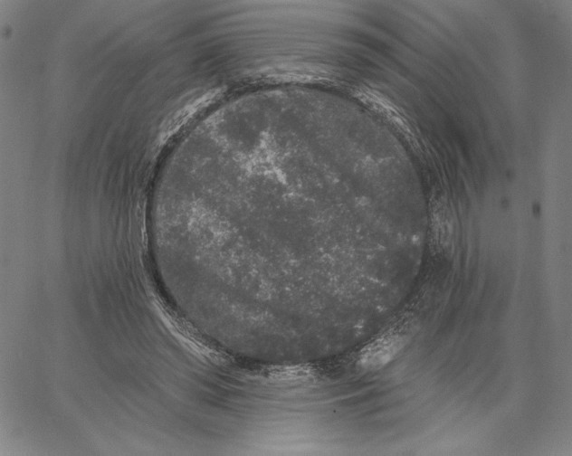 X0000066530398200604071622