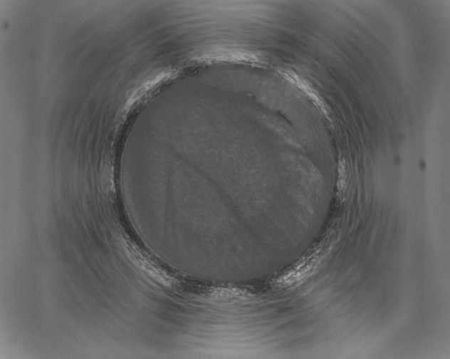 X0000066530399200604071622