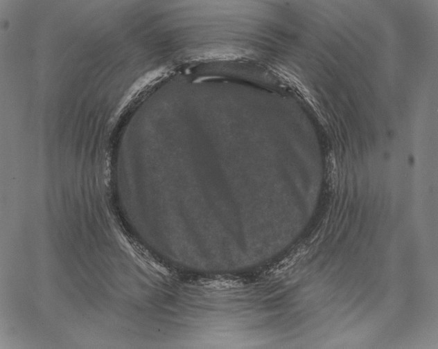 X0000066530400200604071622