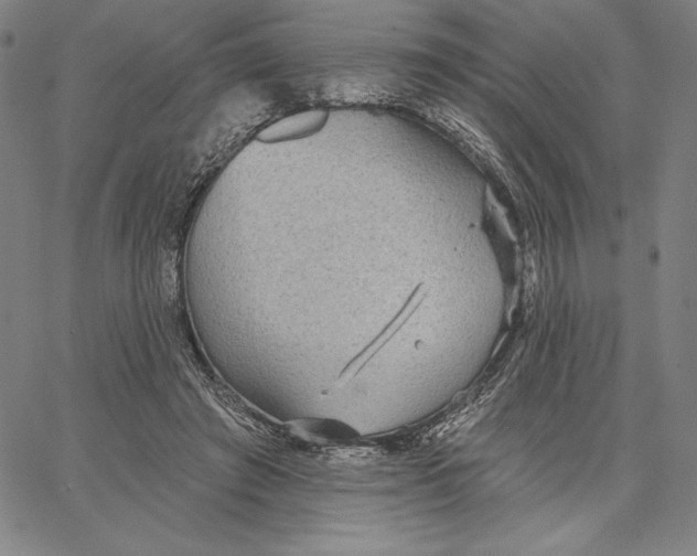 X0000066530401200604071622