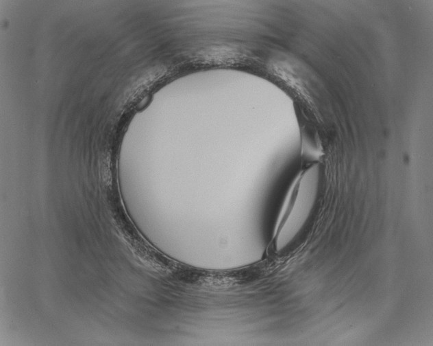 X0000066530403200604071622