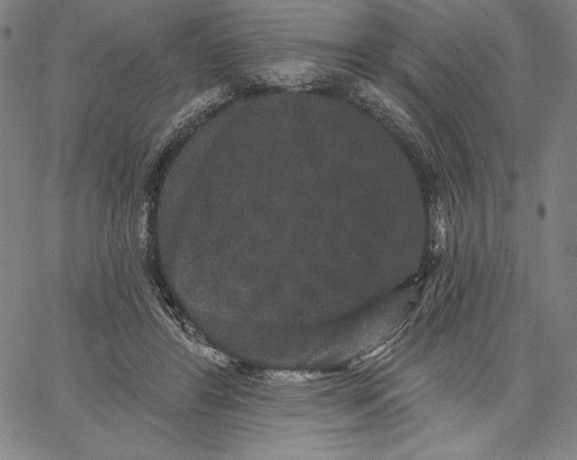 X0000066530404200604071622