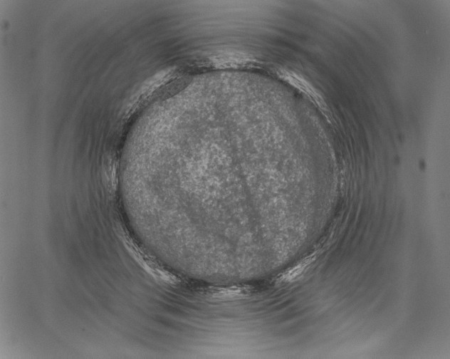 X0000066530405200604071622