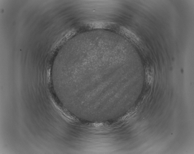 X0000066530406200604071622