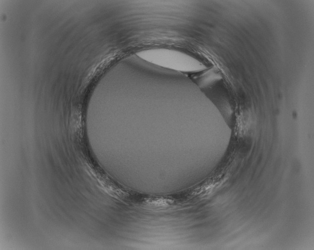 X0000066530407200604071622