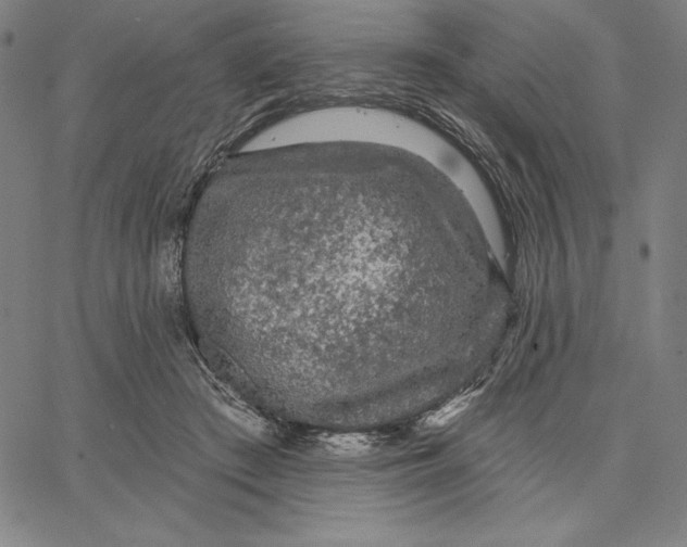 X0000066530409200604071622