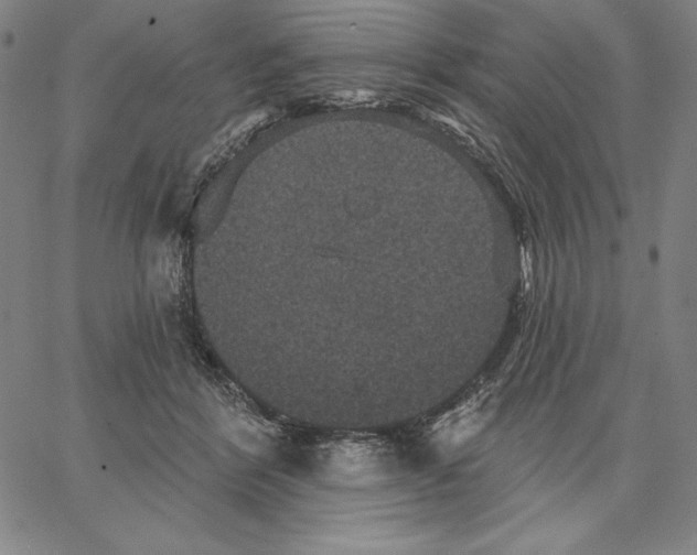 X0000066530412200604071622