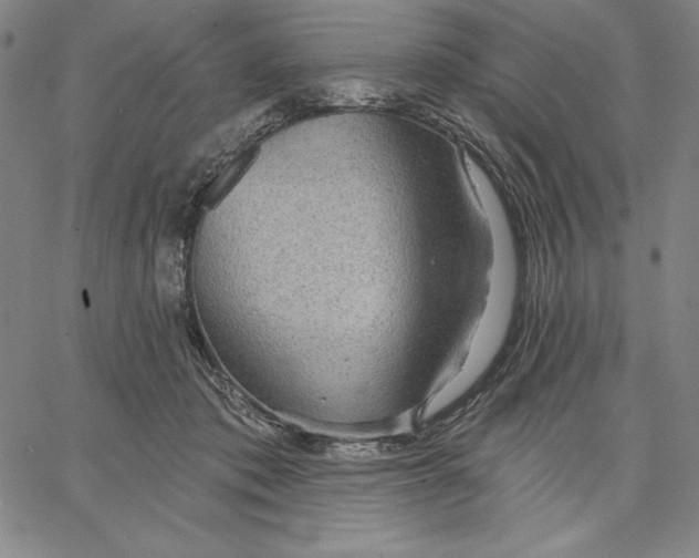 X0000066530413200604071622