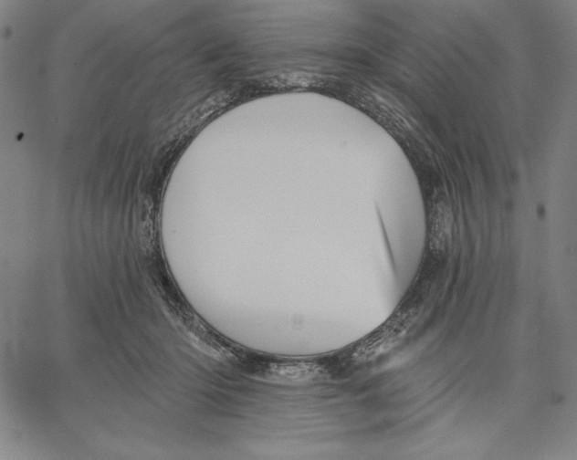 X0000066530414200604071622