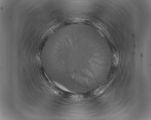 X0000066530415200604071622