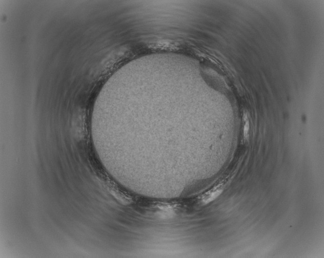 X0000066530416200604071622