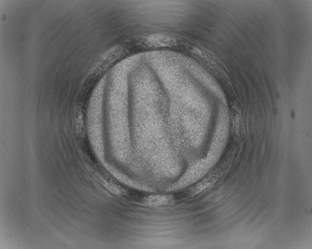 X0000066530418200604071622