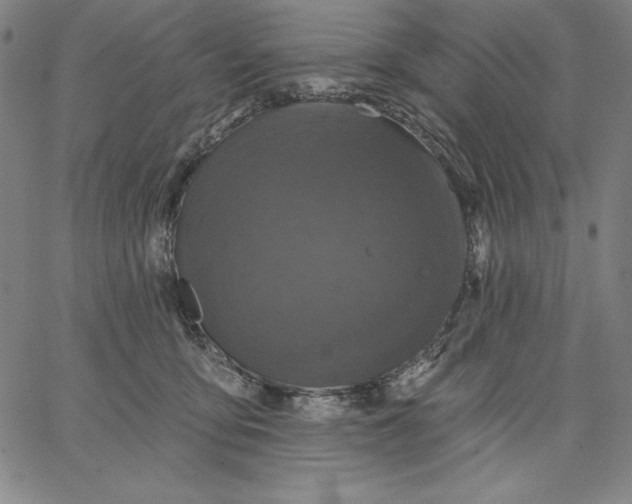 X0000066530419200604071622