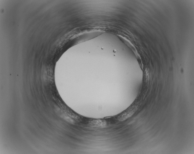 X0000066530421200604071622