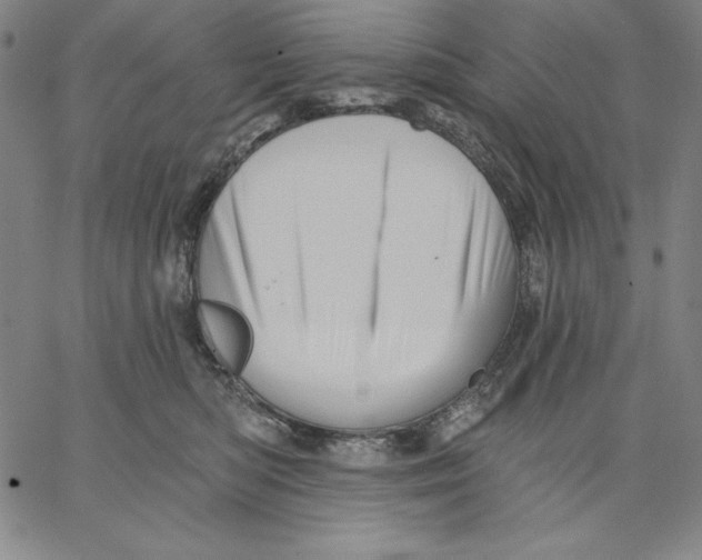 X0000066530422200604071622