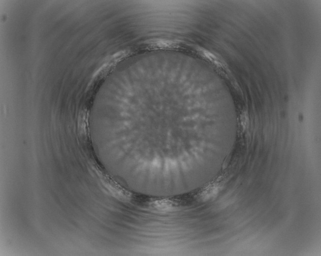 X0000066530423200604071622