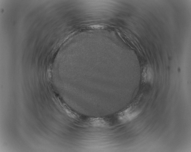 X0000066530424200604071622