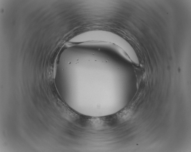 X0000066530425200604071622