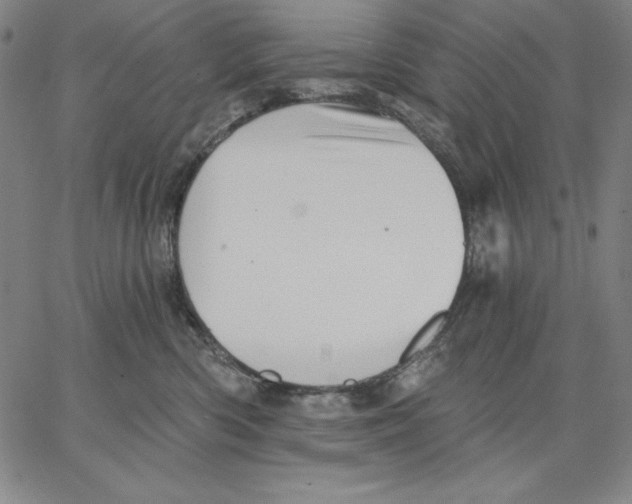 X0000066530426200604071622