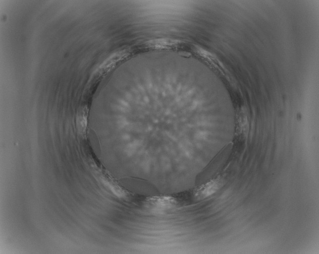 X0000066530427200604071622