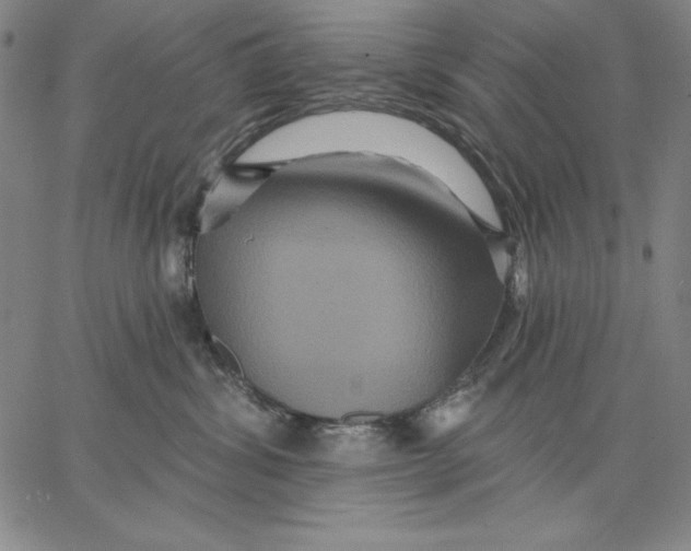 X0000066530428200604071621