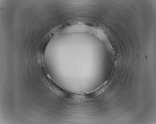 X0000066530429200604071621